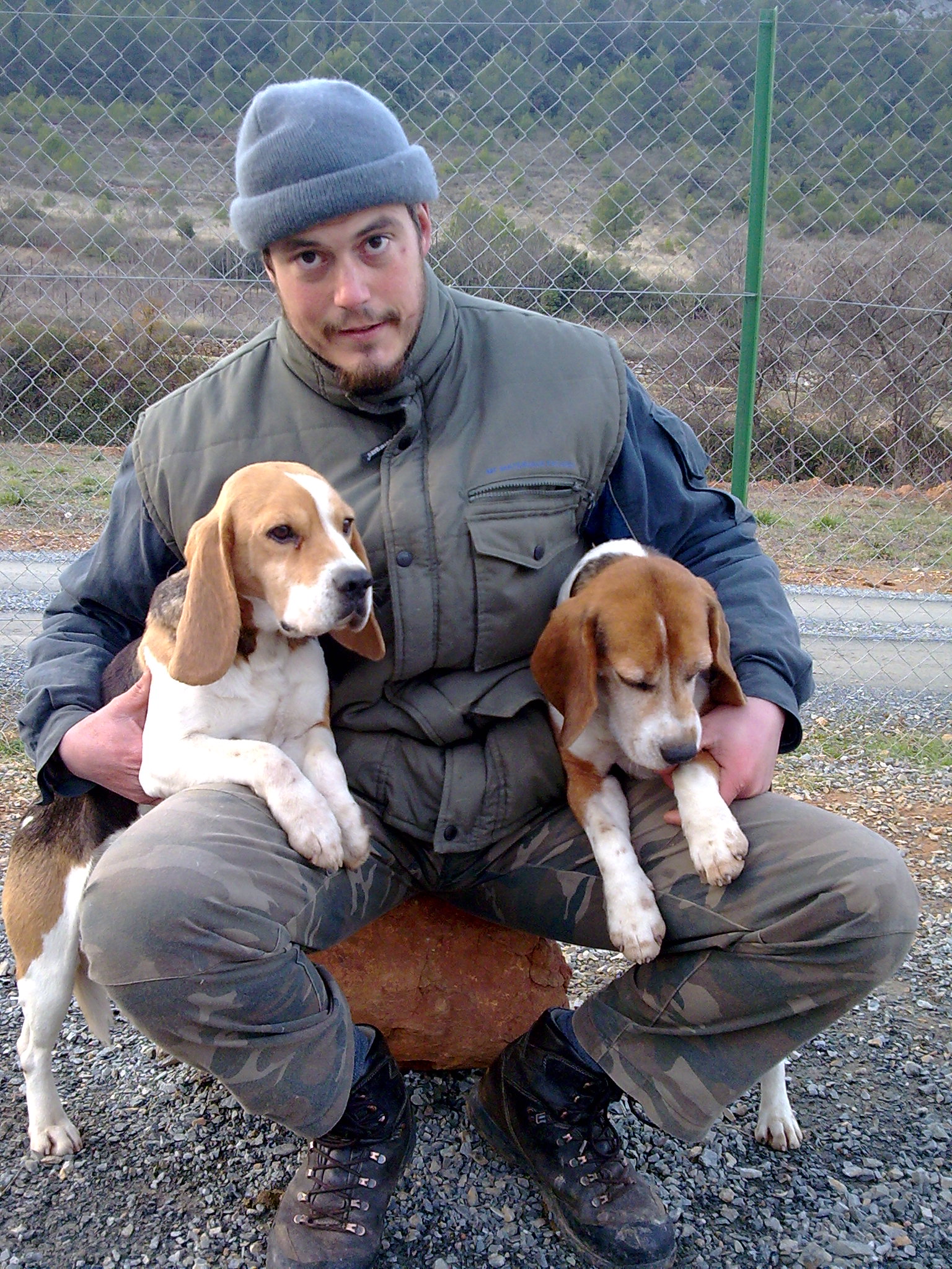 PUECH ROUCH ELEVAGE DE BEAGLE DU ROCHER DE NOTRE DAME HERAULT